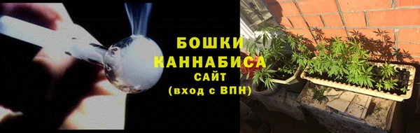 спайс Богданович