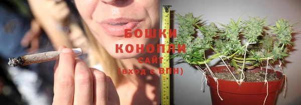 спайс Богданович