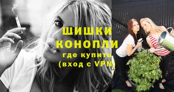 спайс Богданович