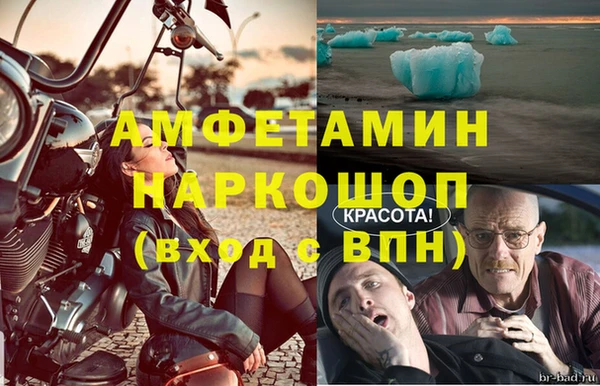 спайс Богданович