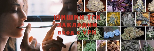 спайс Богданович