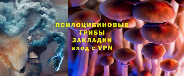ПСИЛОЦИБИНОВЫЕ ГРИБЫ Белоозёрский